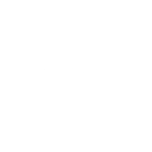 Zahra Zahid